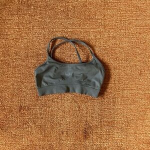 Pavoi blue grey sports bra